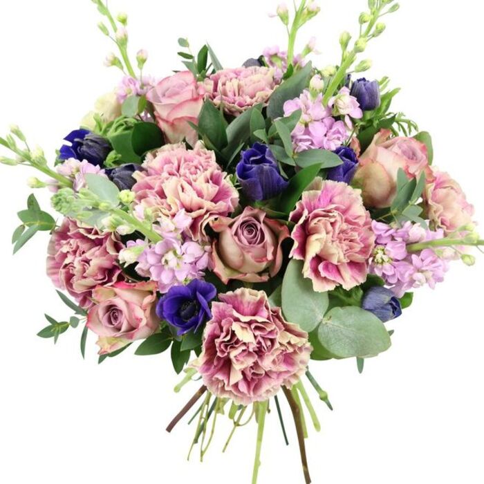 This hand-tied bouquet, photographed against a clean white background, radiates the kind of considered elegance you might find in a carefully styled home overlooking the green spaces of Dartmouth Park. The central focus is a cluster of garden roses in tonal shades of blush, dusty pink, and antique mauve, their petals layered and spiralled in a classic, romantic form. Around these, abundant carnations add both body and texture, their ruffled petals shifting from creamy beige at the base to soft blush and deeper rose along the edges, creating a gentle gradient of pinks that feels warm and welcoming. Bold accents come from deep indigo-blue flowers shaped like closed tulip buds, peeking between the softer tones to bring rich contrast. At the lower front, an open royal blue anemone with a dark, almost black centre stands out vividly, its velvety petals echoing the colour of evening shadows along nearby Highgate Road. Slender stems of lilac and pale purple stock stretch upward through the bouquet, their many small blossoms lending vertical interest and an airy, almost cloud-like softness. The entire arrangement is wrapped in a halo of foliage: dark green leaves provide depth, while rounded, silvery eucalyptus leaves add coolness and a suggestion of their characteristic fresh scent. The stems are gathered tightly at the base, visible and neatly tied, conveying freshness and professional craftsmanship as if just prepared for local delivery to a townhouse off York Rise. The mood is one of refined romance and comfort, making this bouquet perfectly suited to anniversaries, thoughtful congratulations, or a gentle gesture of support.